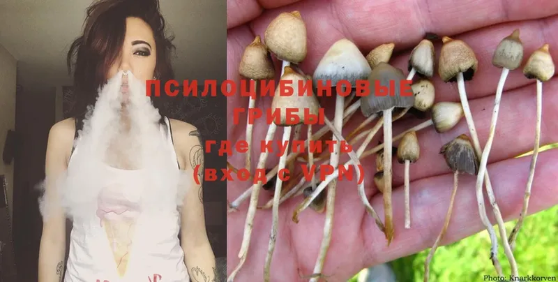 Галлюциногенные грибы Magic Shrooms  Анапа 